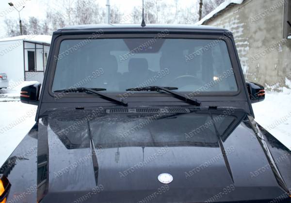  () Mercedes G-klass (W 463) .